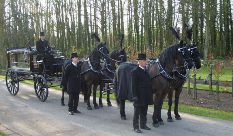 4 Horse Team Black Hearse