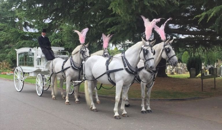 4 White Funeral Horses
