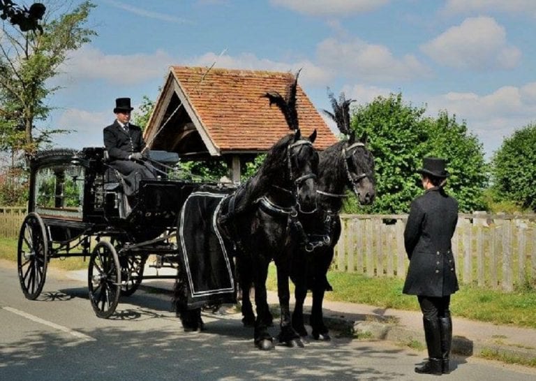 Black Horse Drawn Hearse