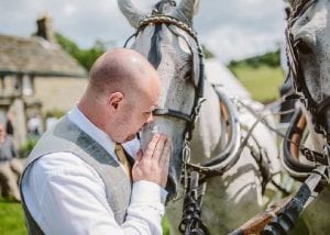 Have a look at our beautiful horses