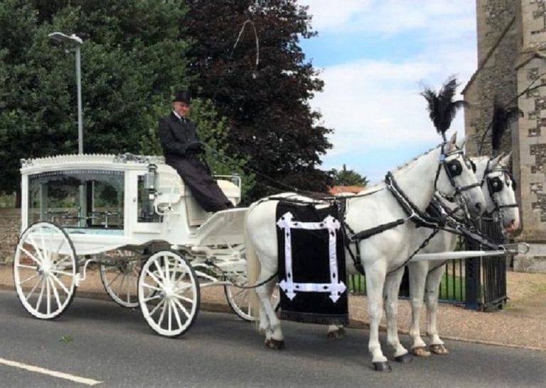 Pair White Funeral Horses