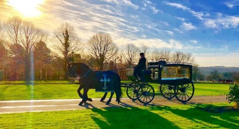 Pair of Black Funeral Horses