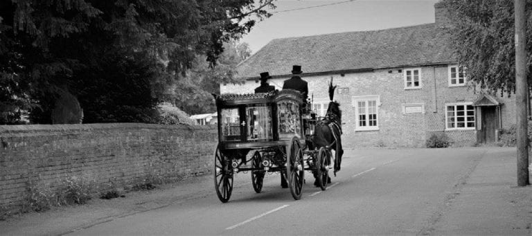 Rear View Black Funeral Horses
