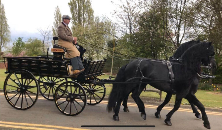 Black Traders Trolley