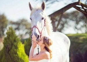 Why Choose our Horse Drawn Carriage Company?