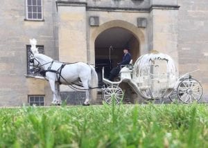 Cinderella Pumpkin Carriage with White Horses Side View