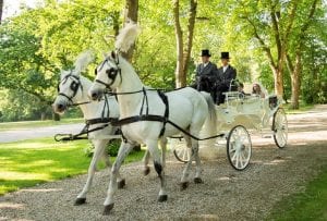 White Glass Fronted Landau Carriage