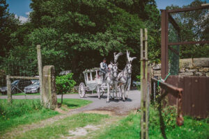 White Bow Sided Glass Coach with pair of White Horses White Bow Sided Glass Coach with pair of White Horses