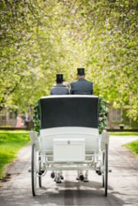 White Glass Fronted Landau with White Horses White Glass Fronted Landau with White Horses