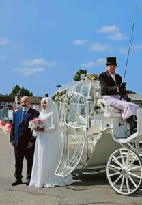 Pair of White Horses and White Cinderella Fairytale pumpkin carriage Pair of White Horses and White Cinderella Fairytale pumpkin carriage
