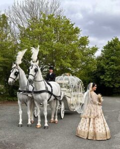 Pair of White Horses and White Cinderella Fairytale pumpkin carriage Pair of White Horses and White Cinderella Fairytale pumpkin carriage