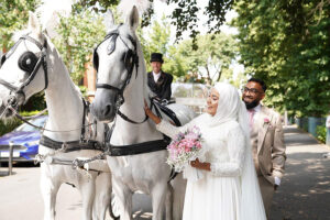 Pair of White Horses and White Cinderella Fairytale pumpkin carriage Pair of White Horses and White Cinderella Fairytale pumpkin carriage