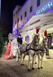 Pair of White Horses and White Cinderella Fairytale pumpkin carriage Pair of White Horses and White Cinderella Fairytale pumpkin carriage