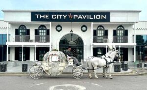 Pair of White Horses and White Cinderella Fairytale pumpkin carriage outside The City Pavilion Pair of White Horses and White Cinderella Fairytale pumpkin carriage outside The City Pavilion