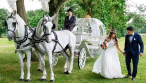 Pair of White Horses and White Cinderella Fairytale pumpkin carriage Pair of White Horses and White Cinderella Fairytale pumpkin carriage