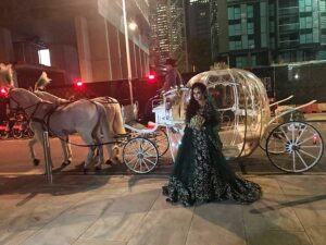 Pair of White Horses and White Cinderella Fairytale pumpkin carriage Pair of White Horses and White Cinderella Fairytale pumpkin carriage