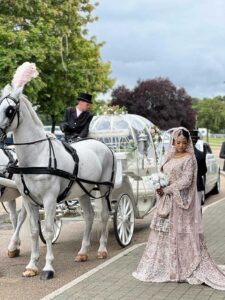 Pair of White Horses and White Cinderella Fairytale pumpkin carriage Pair of White Horses and White Cinderella Fairytale pumpkin carriage