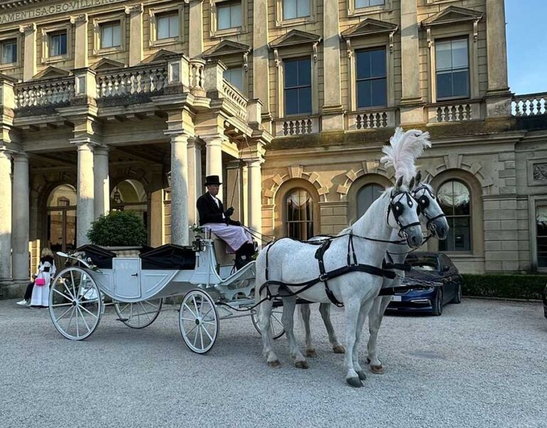 Pair of White Horses with white convertible twin hooded landau outside stately home Pair of White Horses with white convertible twin hooded landau outside stately home