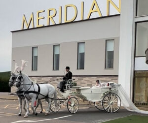 Pair of White Horses with White Convertible All Glass Landau Pair of White Horses with White Convertible All Glass Landau