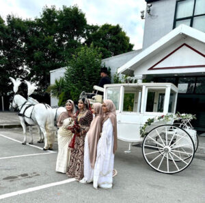 Pair of White Horses with White Convertible All Glass Landau Pair of White Horses with White Convertible All Glass Landau