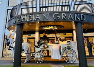 Pair of White Horses with White Convertible All Glass Landau at Meridian Grand Pair of White Horses with White Convertible All Glass Landau at Meridian Grand