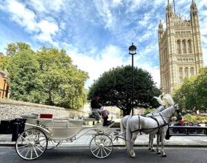 Pair of White Horses with White Convertible All Glass Landau in London Pair of White Horses with White Convertible All Glass Landau in London