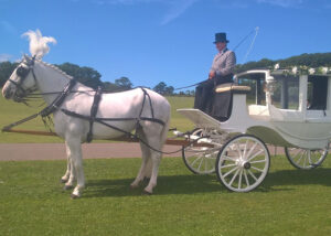 White Bow Sided Glass Coach with pair of White Horses White Bow Sided Glass Coach with pair of White Horses