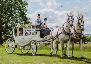 White Bow Sided Glass Coach with pair of White Horses White Bow Sided Glass Coach with pair of White Horses